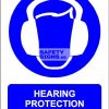 Hearing Protection Must Be Worn. PVC.